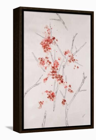 Delicate Blossoms II-Rikki Drotar-Framed Premier Image Canvas