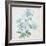 Delicate Botanical Blue II-Alex Black-Framed Premium Giclee Print