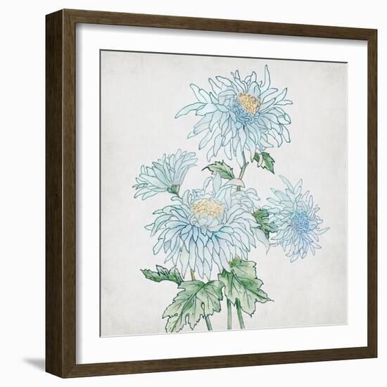 Delicate Botanical Blue II-Alex Black-Framed Art Print