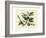 Delicate Botanical I-Samuel Curtis-Framed Premium Giclee Print