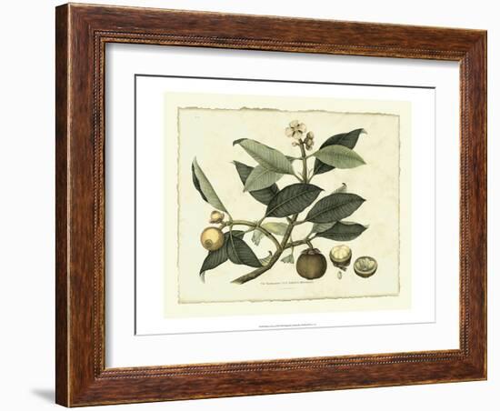 Delicate Botanical I-Samuel Curtis-Framed Premium Giclee Print