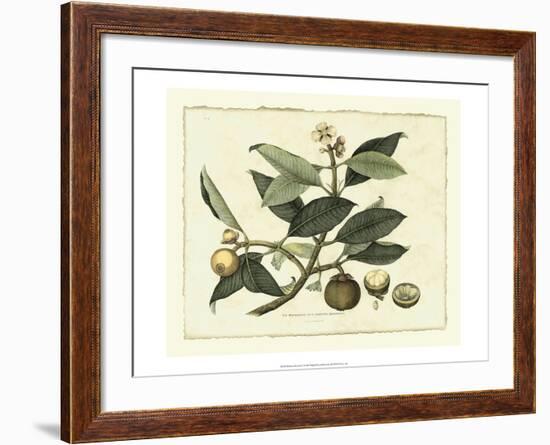 Delicate Botanical I-Samuel Curtis-Framed Art Print