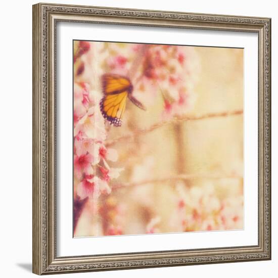 Delicate Butterly and Flowers-Myan Soffia-Framed Photographic Print