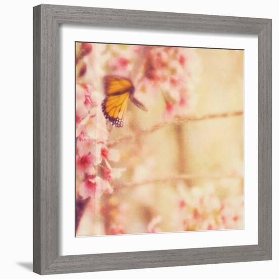 Delicate Butterly and Flowers-Myan Soffia-Framed Photographic Print