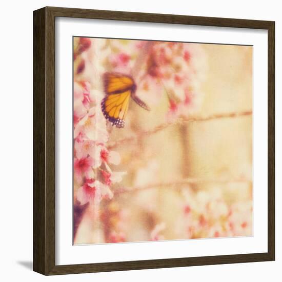 Delicate Butterly and Flowers-Myan Soffia-Framed Photographic Print