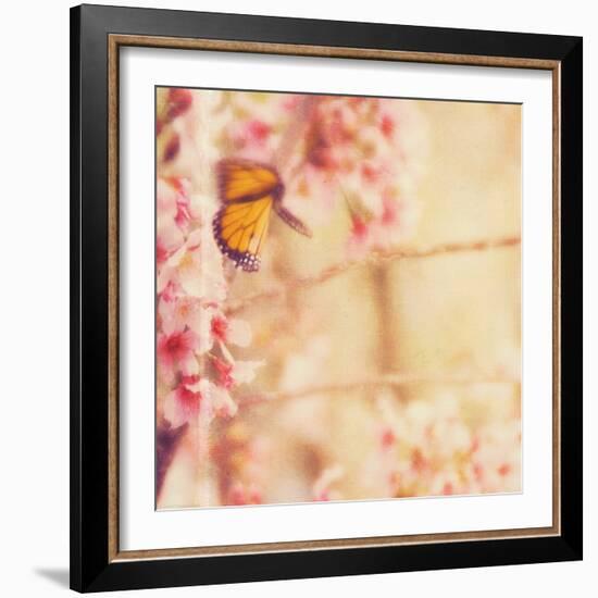Delicate Butterly and Flowers-Myan Soffia-Framed Photographic Print