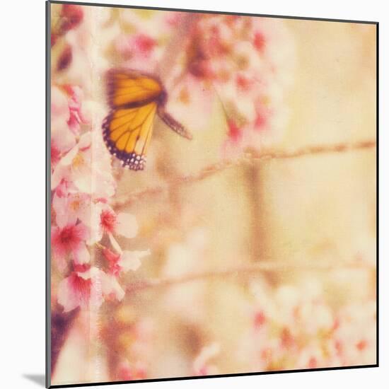 Delicate Butterly and Flowers-Myan Soffia-Mounted Photographic Print