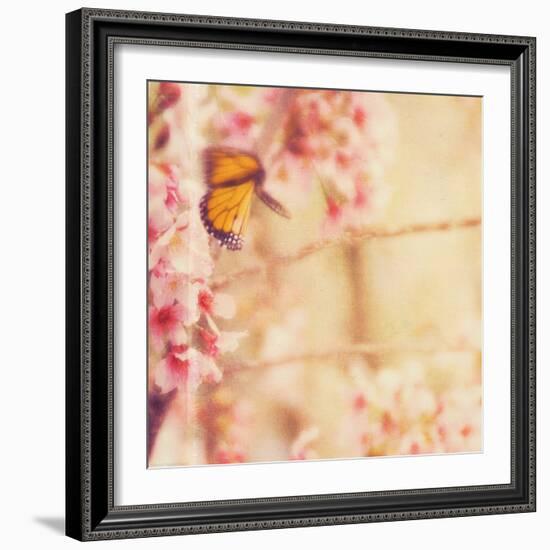 Delicate Butterly and Flowers-Myan Soffia-Framed Photographic Print