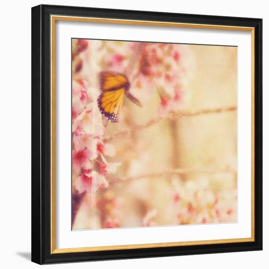 Delicate Butterly and Flowers-Myan Soffia-Framed Photographic Print