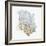 Delicate Coral I-Isabelle Z-Framed Premium Giclee Print