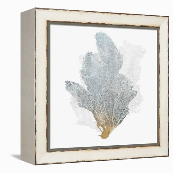 Delicate Coral II-Isabelle Z-Framed Stretched Canvas