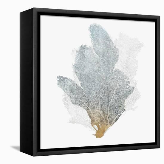 Delicate Coral II-Isabelle Z-Framed Stretched Canvas
