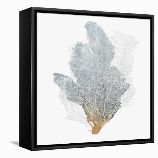 Delicate Coral II-Isabelle Z-Framed Stretched Canvas