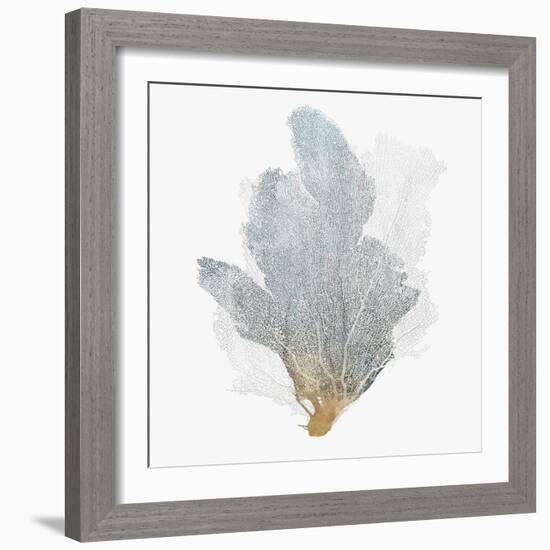 Delicate Coral II-Isabelle Z-Framed Premium Giclee Print