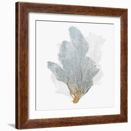 Delicate Coral II-Isabelle Z-Framed Art Print