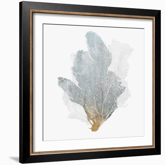 Delicate Coral II-Isabelle Z-Framed Art Print