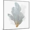 Delicate Coral II-Isabelle Z-Mounted Art Print