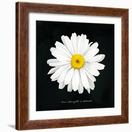 Delicate Daisy II-Grace Popp-Framed Art Print