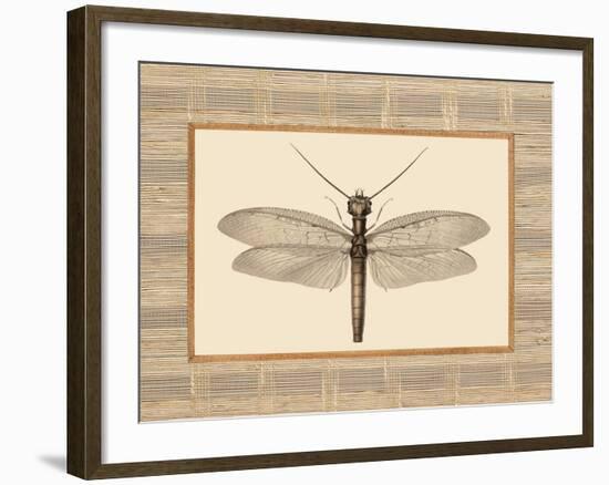 Delicate Dancer II-Sarah E. Chilton-Framed Art Print