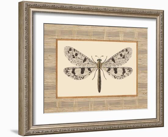 Delicate Dancer III-Sarah E. Chilton-Framed Art Print