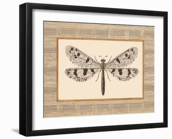 Delicate Dancer III-Sarah E. Chilton-Framed Art Print