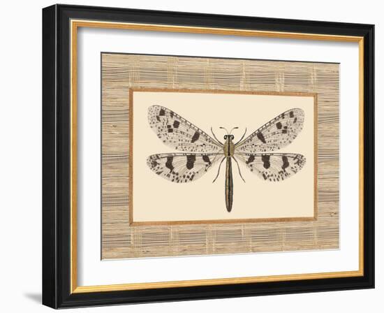 Delicate Dancer III-Sarah E. Chilton-Framed Art Print