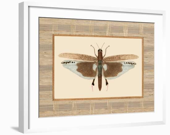 Delicate Dancer IV-Sarah E. Chilton-Framed Art Print