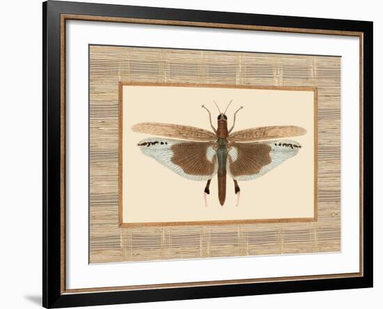 Delicate Dancer IV-Sarah E. Chilton-Framed Art Print