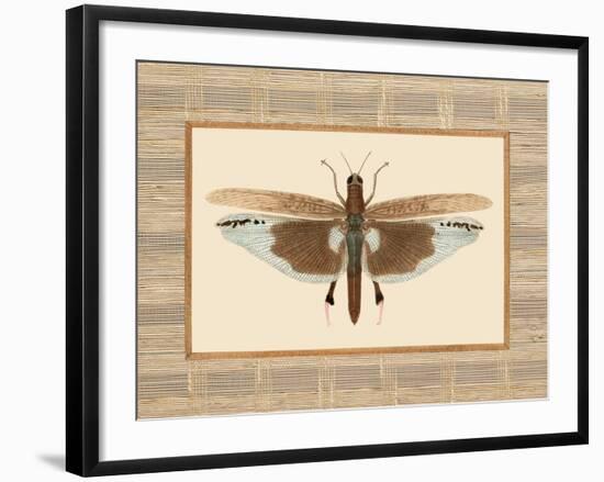 Delicate Dancer IV-Sarah E. Chilton-Framed Art Print