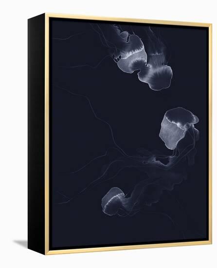 Delicate Dive - Float-Kristine Hegre-Framed Stretched Canvas