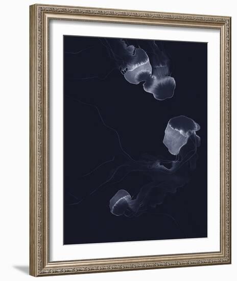 Delicate Dive - Float-Kristine Hegre-Framed Giclee Print