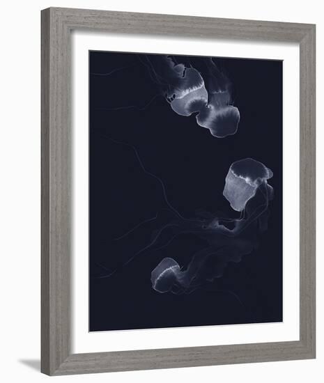 Delicate Dive - Float-Kristine Hegre-Framed Giclee Print