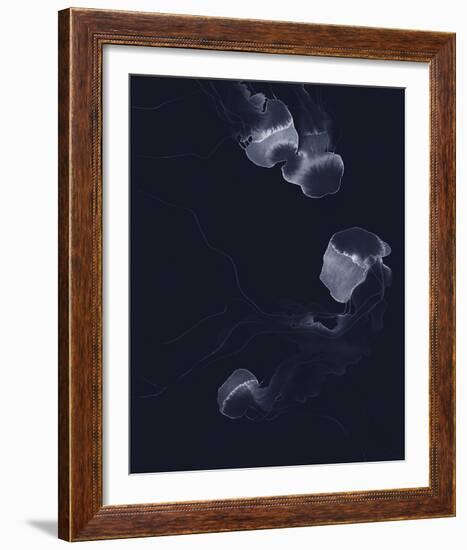 Delicate Dive - Float-Kristine Hegre-Framed Giclee Print