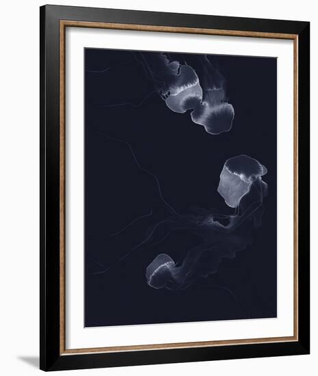 Delicate Dive - Float-Kristine Hegre-Framed Giclee Print