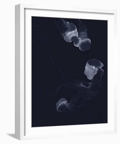 Delicate Dive - Float-Kristine Hegre-Framed Giclee Print