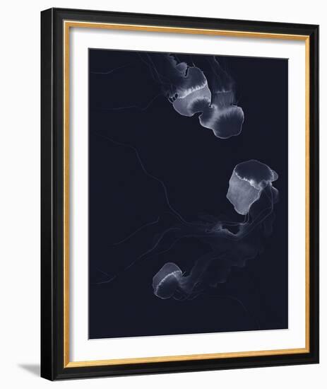 Delicate Dive - Float-Kristine Hegre-Framed Giclee Print