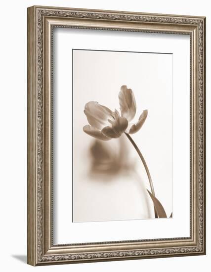 Delicate Floral I-Gail Peck-Framed Photographic Print