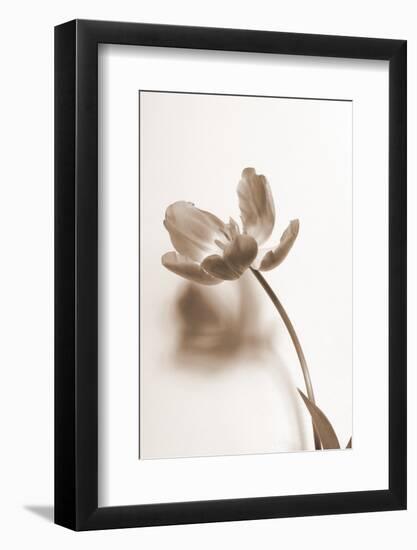 Delicate Floral I-Gail Peck-Framed Photographic Print