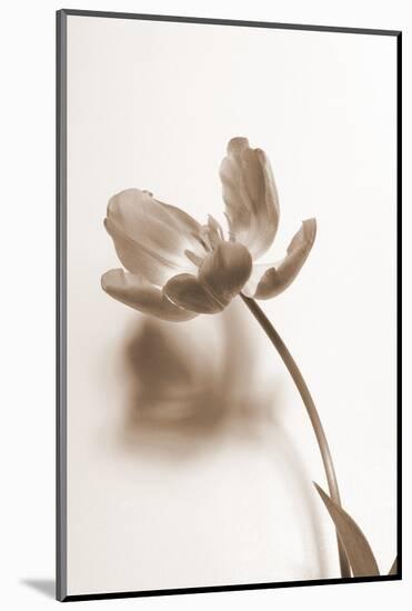 Delicate Floral I-Gail Peck-Mounted Photographic Print