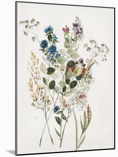 Delicate Flowers I-Asia Jensen-Mounted Art Print