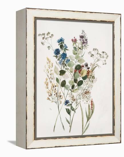 Delicate Flowers I-Asia Jensen-Framed Stretched Canvas