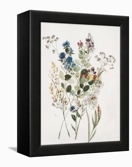 Delicate Flowers I-Asia Jensen-Framed Stretched Canvas