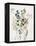 Delicate Flowers I-Asia Jensen-Framed Stretched Canvas