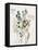 Delicate Flowers I-Asia Jensen-Framed Stretched Canvas