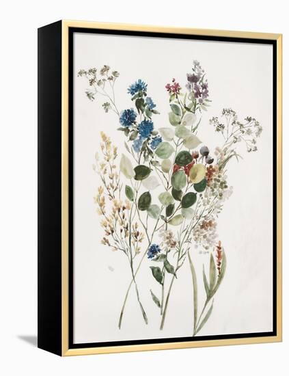 Delicate Flowers I-Asia Jensen-Framed Stretched Canvas