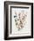 Delicate Flowers I-Asia Jensen-Framed Premium Giclee Print