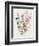 Delicate Flowers I-Asia Jensen-Framed Premium Giclee Print