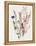 Delicate Flowers I-Asia Jensen-Framed Stretched Canvas