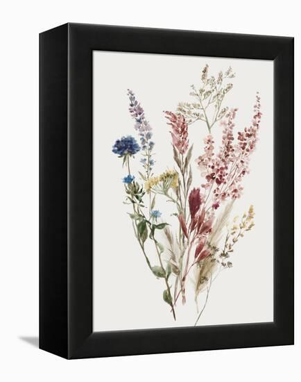 Delicate Flowers I-Asia Jensen-Framed Stretched Canvas