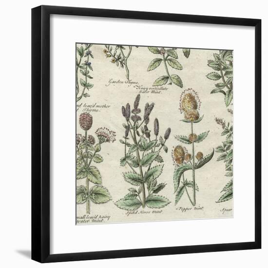 Delicate Garden IV-Vision Studio-Framed Art Print